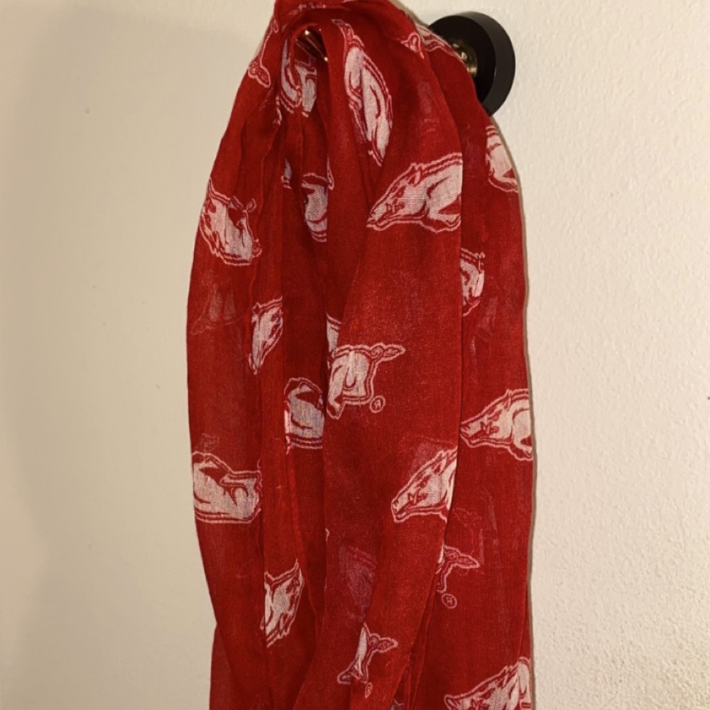 Arkansas Infinity Scarf